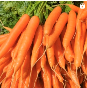 Emerald Grove Permaculture