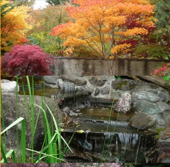 Kohan Reflection Garden Society
