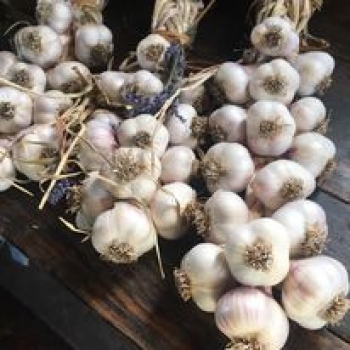 Off the Farm