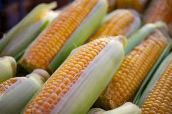 Sutcliffe Farms